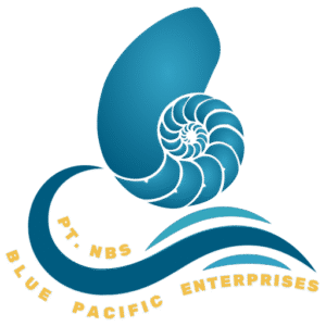 cropped nbs logo.png